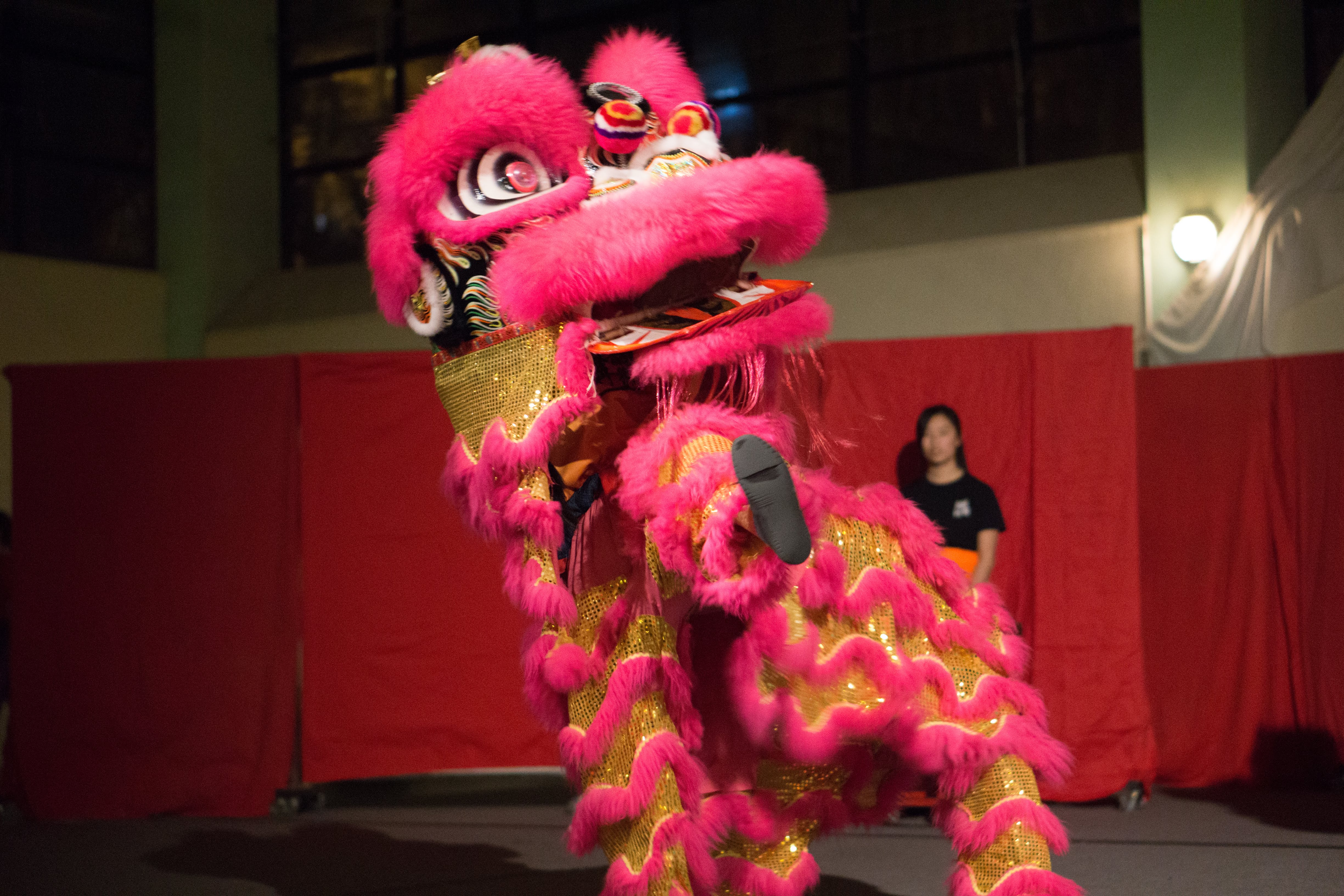 Lion Dance